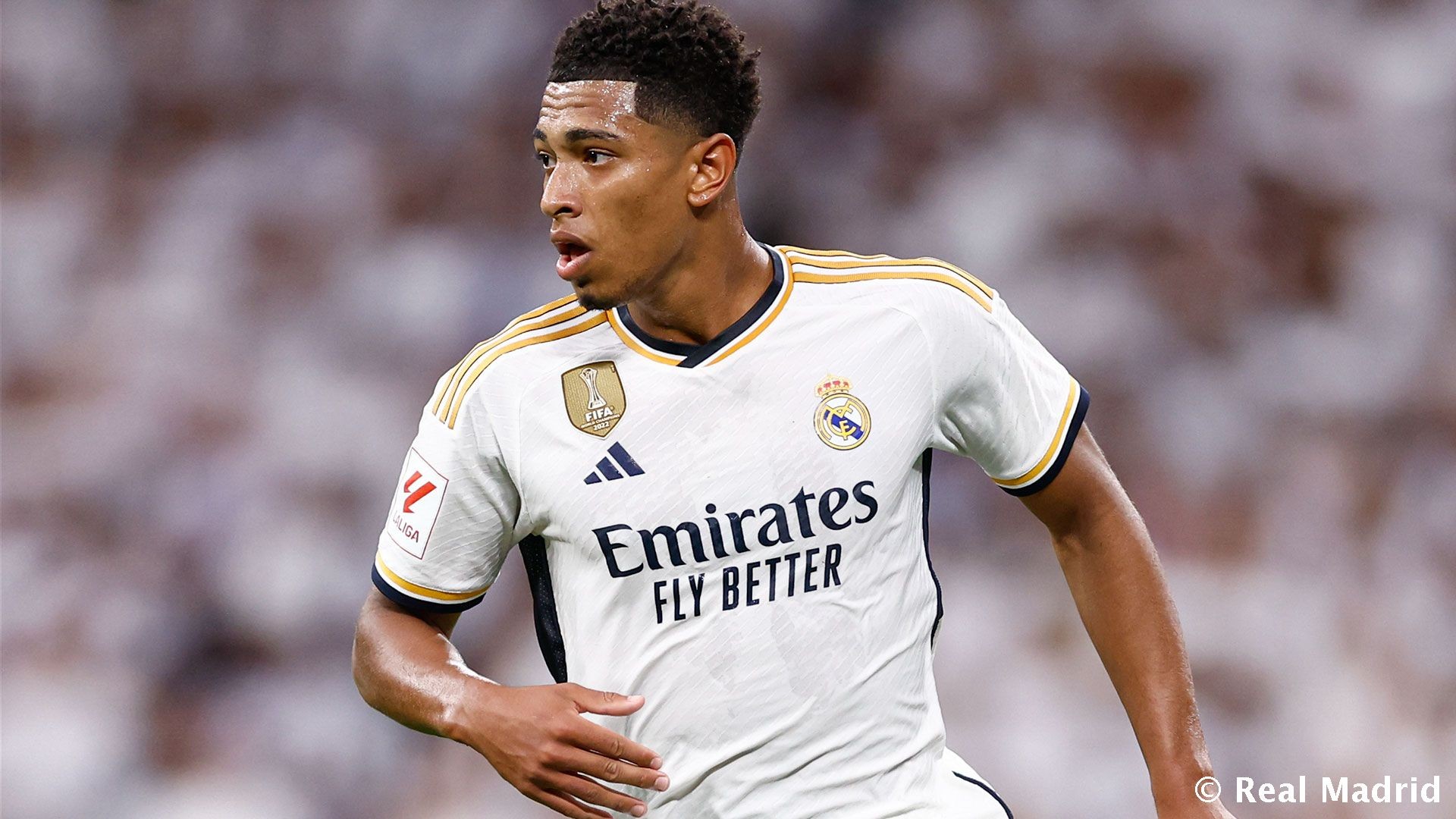 世界排名前48名但未直通世界杯国家：意大利丹麦在列（世界排名前48却未直通世界杯的国家：意大利、丹麦在列）